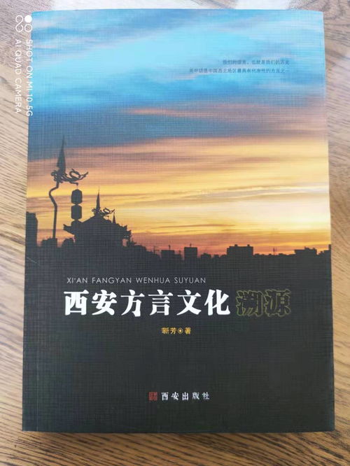 咥下數(shù)，芒背 西安方言文化溯源與數(shù)字創(chuàng)意新篇